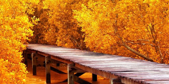 7680x4320 amazing-4k-ultra-hd-nature-wallpaper-7680×4320 | Wallpapers High