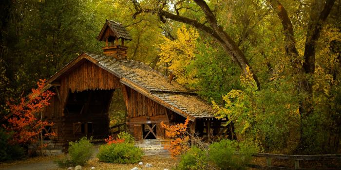 3840x2160 40+] 4K Ultra HD Nature Wallpaper on WallpaperSafari