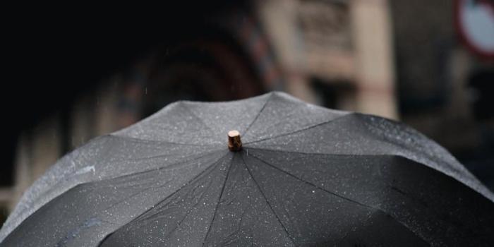 800x1200 Street, Rain and Umbrella HD Photo Download in 2019 | Wallpapers HD