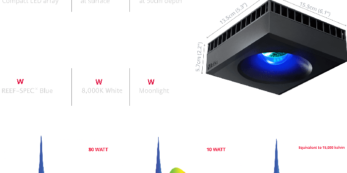 1968x1440 Fresh N Marine | No. 1 Choice Online Aquarium Shop