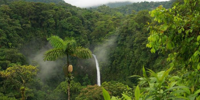 2560x1440 Standard - 4k Ultra Hd Nature Wallpapers For Pc (#247828) - HD