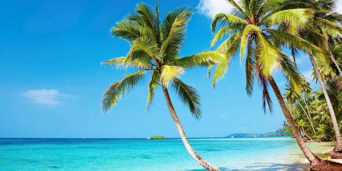 2560x1600 Nature 4k Ultra HD Wallpapers 4k Wallpaper.Net Desktop Background