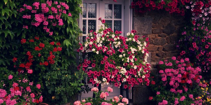 1920x1080 Garden wallpapers 1920x1080 Full HD (1080p) desktop backgrounds