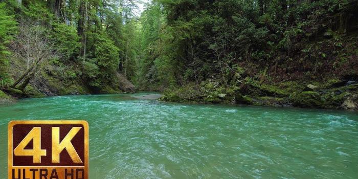 1280x720 Download Ultra Hd Nature Wallpapers (52+) - Free Wallpaper For your