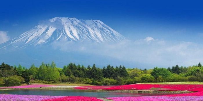 720x1280 HD VIVO X7 Wallpapers for Android - APK Download