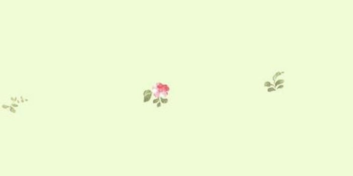 794x1094 Light Green Shabby Cottage Petite Floral Wallpaper - Flower Spot, Country  Chic, Victorian Garden - By The Yard - SM8573