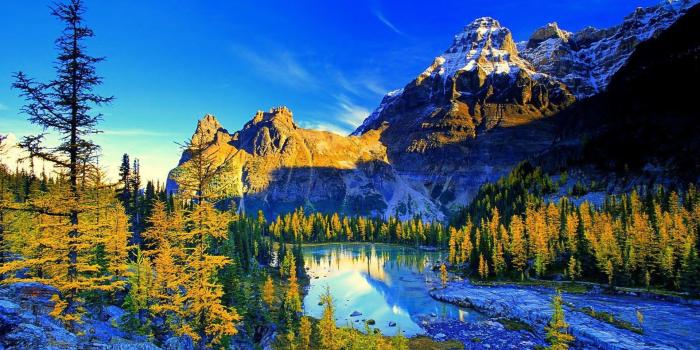 7680x4320 8K Ultra HD Nature Wallpapers - Top Free 8K Ultra HD Nature