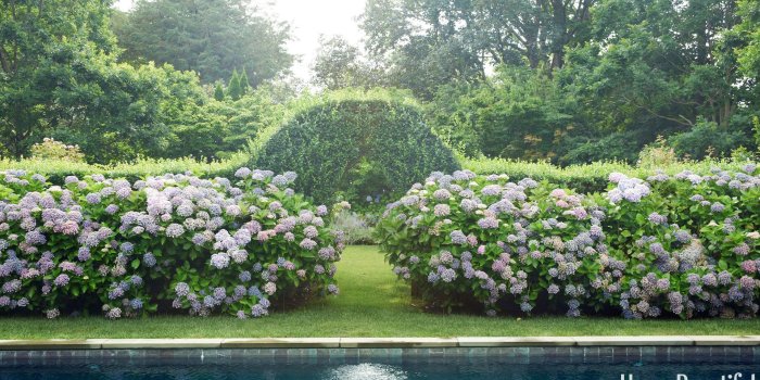 1920x1080 30 Beautiful Garden Pictures - Images of Gorgeous Spring Gardens