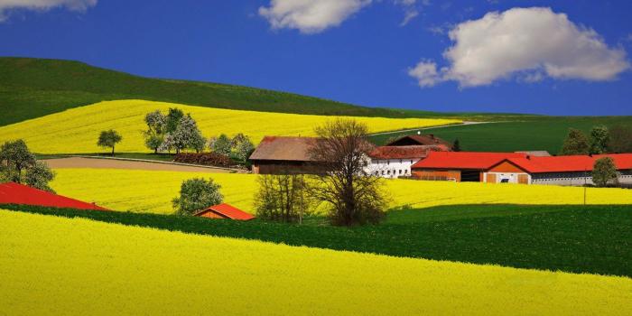 1920x1080 4k Ultra Hd Nature Wallpapers , (57 ) Pictures | Gardening: Flower