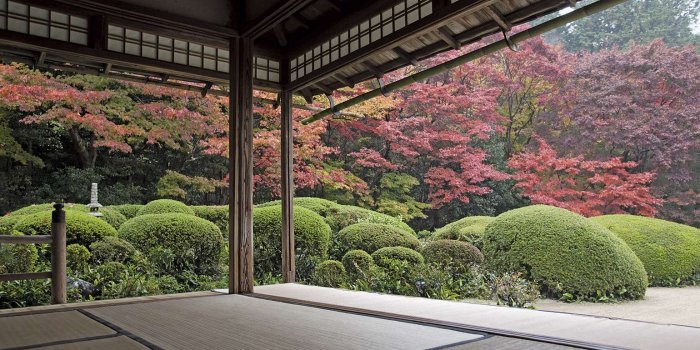 1540x944 The Japanese Garden phaidon book | Wallpaper*