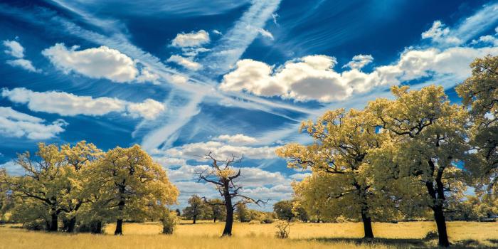 3840x2160 HD Nature Wallpapers 1080p (74+ pictures)