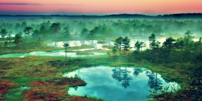 2560x1440 mountain, Nature, Landscape, Cloud, Lake, Tree, Reflection, River