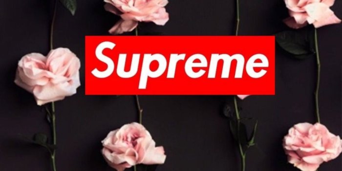 1125x2000 Supreme Wallpapers Download Supreme Hd Wallpapers - Iphone 8