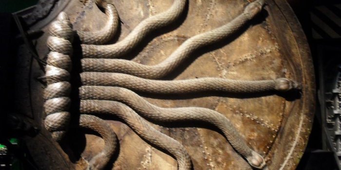 1024x768 Chapter 16: The Chamber of Secrets – Harry Potter Thoughts and Theories