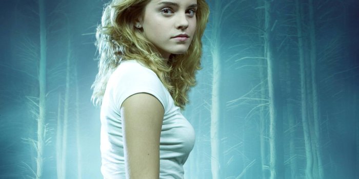 1600x1200 Hermione Granger Harry Potter Wallpapers