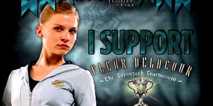 1216x921 Harry Potter And The Goblet Of Fire Girls Wallpapers | Wallpapers PC