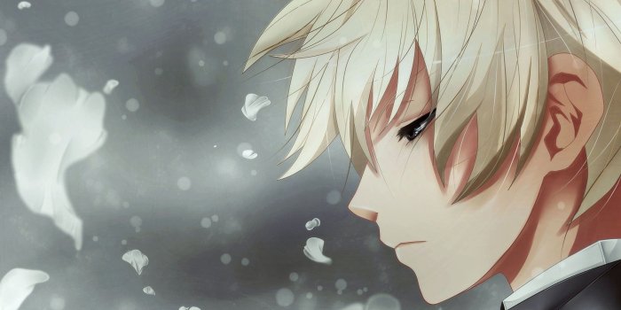 1920x1200 Black Butler wallpaper - Anime wallpapers - #4403