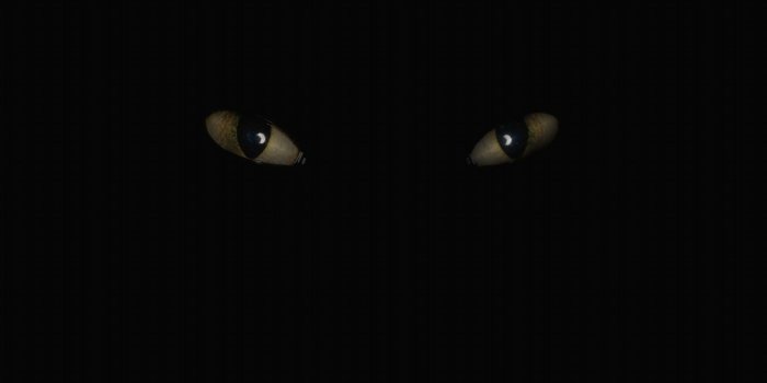 1600x900 Pure Black Wallpaper (28+ images) on Genchi.info