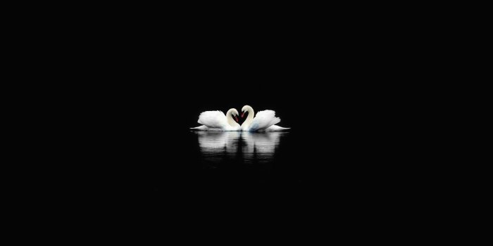 1920x1080 Black Wallpapers Images (68+ background pictures)