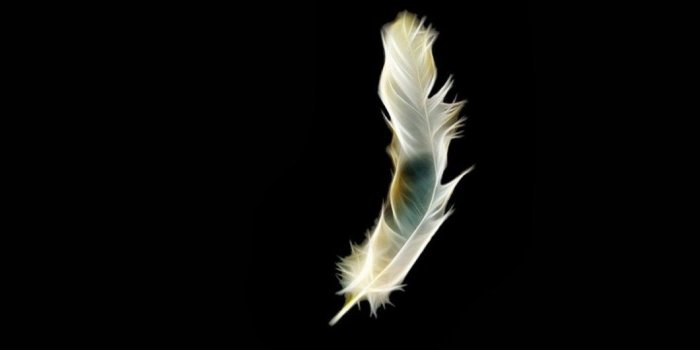 1060x1884 Pure Black Hd Wallpaper For Mobile | Bestpicture1.org