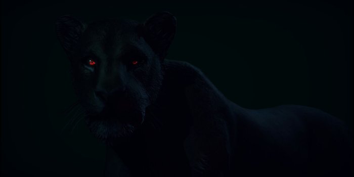 1920x1080 Pure Black Wallpaper (63+) - HD Nice Wallpapers