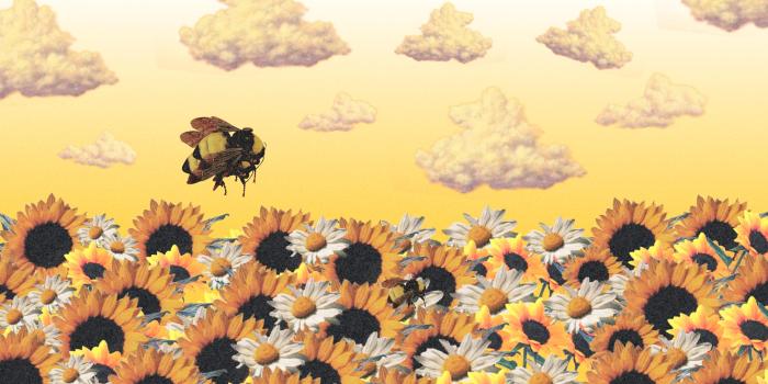 2880x1620 Tyler the Creator Desktop Wallpapers - Top Free Tyler the Creator