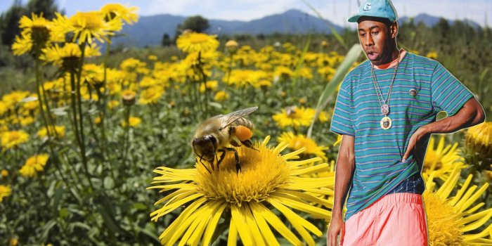 1920x1080 Tyler the Creator Desktop Wallpapers - Top Free Tyler the Creator