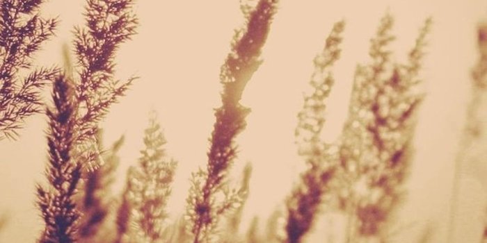 1080x1920 Aesthetic Wallpapers (78+ images)