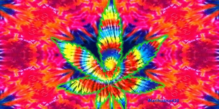 1600x900 1600x900 Collection by Kelly Trippy Acid Wallpaper