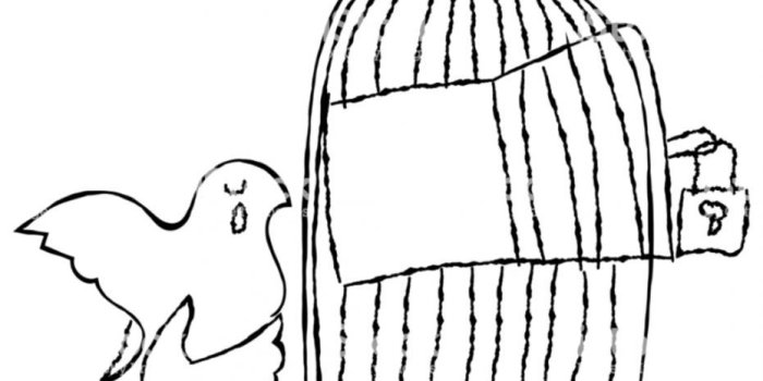 931x972 Bird Cages Art Cartoon Hd Wallpaper Desktop | Wallpapers Nature