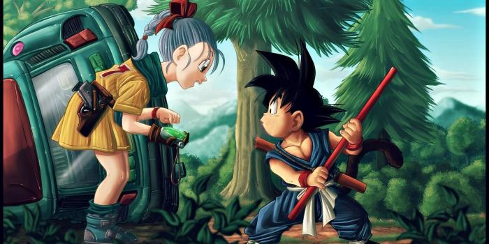 1920x1080 Anime Dragon Ball Z Bulma (Dragon Ball) Goku Wallpaper | lofy