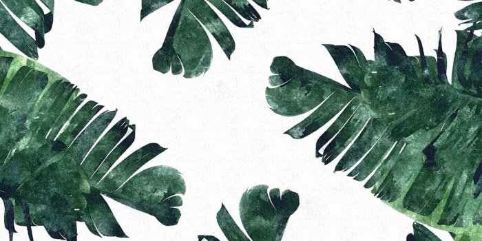 1280x801 pal leaves , wallpaper , background | Backgrounds Wallpapers in 2019