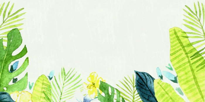 1856x1161 Aesthetic Desktop Wallpaper Pinterest Hd