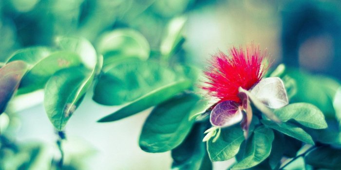 1920x1080 Aesthetic Backgrounds HD Wallpapers Desktop Images Download Free