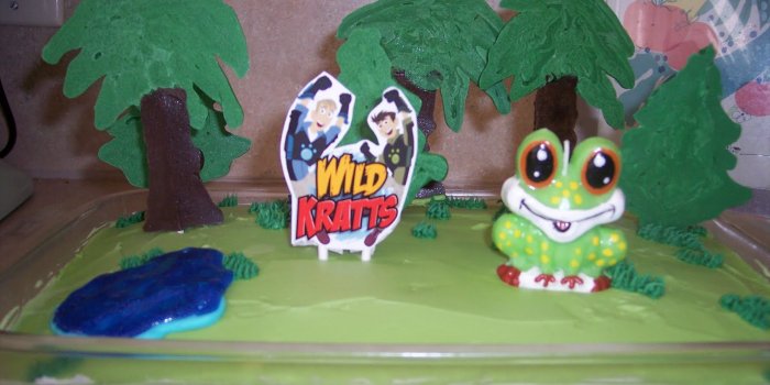1600x1200 An Indiana Mom!: Wild Kratts/Mermaid birthday parties!!!