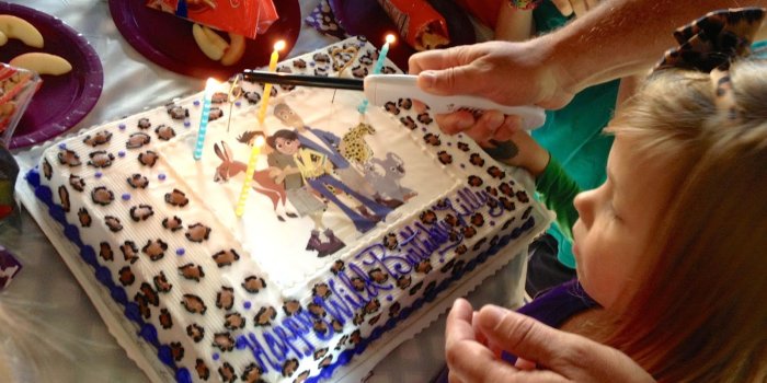 1600x1200 Wild Kratts Birthday Party for a Girl - Tell it to your Neighbor