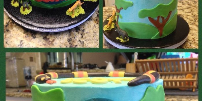 750x1125 Wild Kratts cake