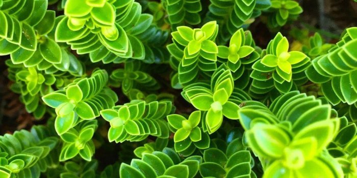 1000x1000 100+ Wallpaper Desktop Background Free Download HD Wallpapers