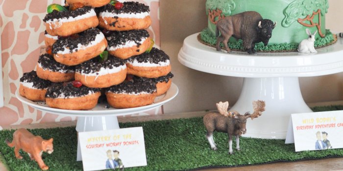 2848x4288 Wild Kratts Birthday Party Ideas - Momtastic.com