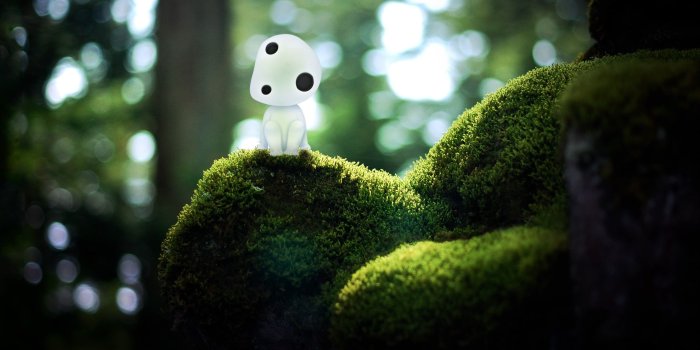 3200x2048 White mushroom, Princess Mononoke, anime, nature, Studio Ghibli HD