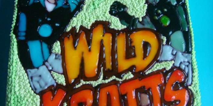 1200x1600 Most Design Ideas Wild Kratts Birthday Party Ideas Pictures, And