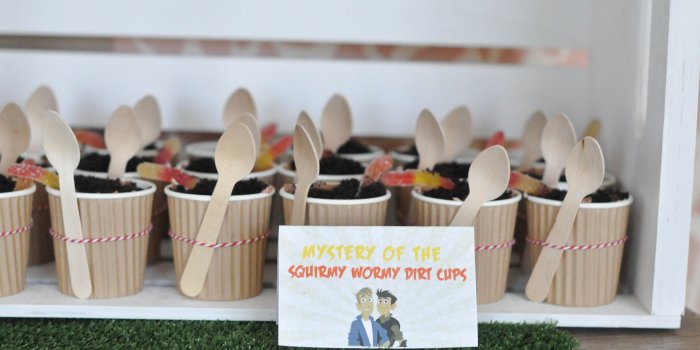 4288x2848 Wild Kratts Birthday Party Ideas - Momtastic.com