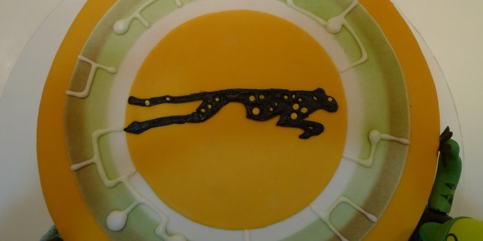 1600x1200 Pin Wild Kratts Birthday Cake I Made A Creature Power Suit Idea Cake
