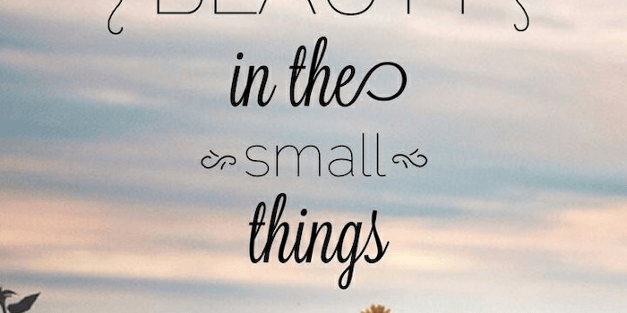 700x1244 ▷ 1001 + amazingly cute backgrounds to grace your screen