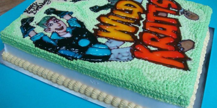 1600x1200 Wild Kratts Cake Topper cakepins.com | Jean in 2019 | Wild kratts