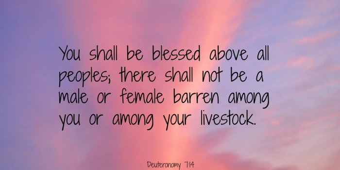 2272x1704 religion, Bible verses, Quote, Text, Poster, Bible, Verses