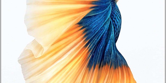 1398x2592 Turquoise and Yellow Wallpaper New iPhone 6s Plus iPhone 6 Plus