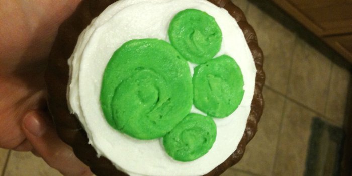 2048x1536 Wild Kratt Cupcake | Birthdays | Birthday, Birthday cake, 8th birthday