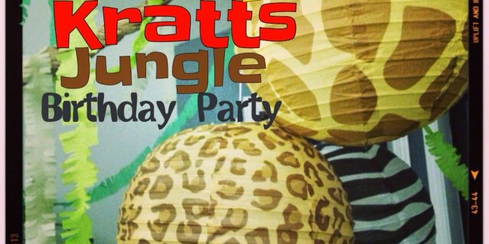 1024x1024 Wild Kratts Birthday Party - Karin's Kottage