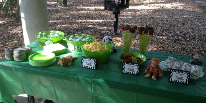 1600x1200 10 Ideal Wild Kratts Birthday Party Ideas 2019
